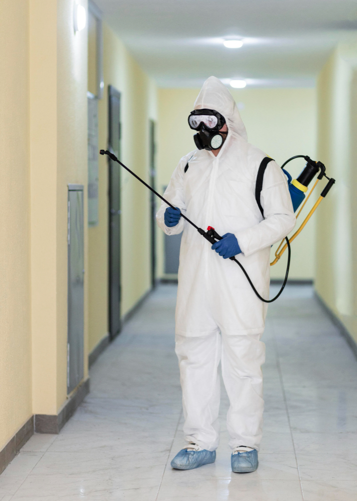 Complete Pest Control Solutions for a Healthier, Safer Space