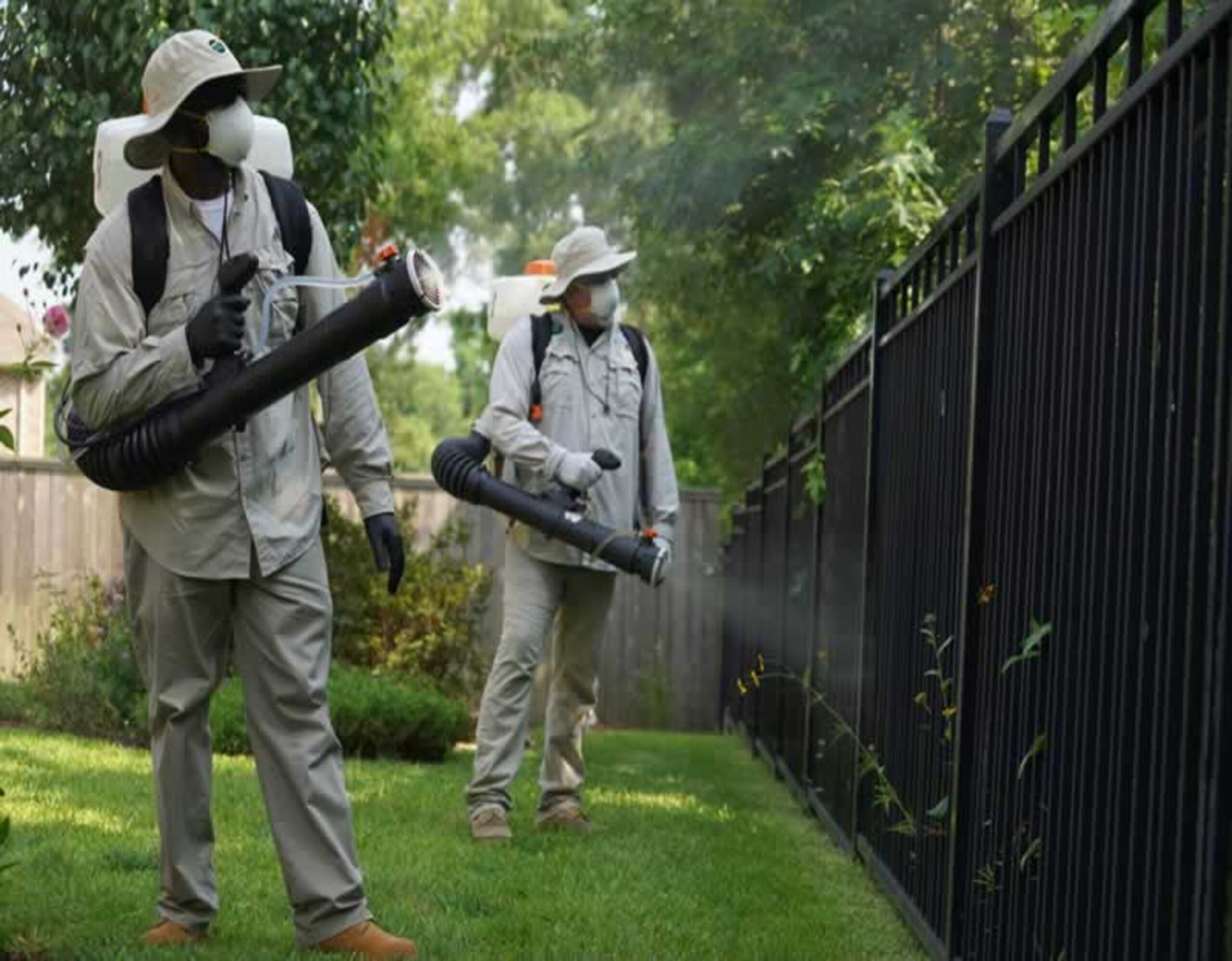 Mosquitos controlling experts in Riyadh, KSA